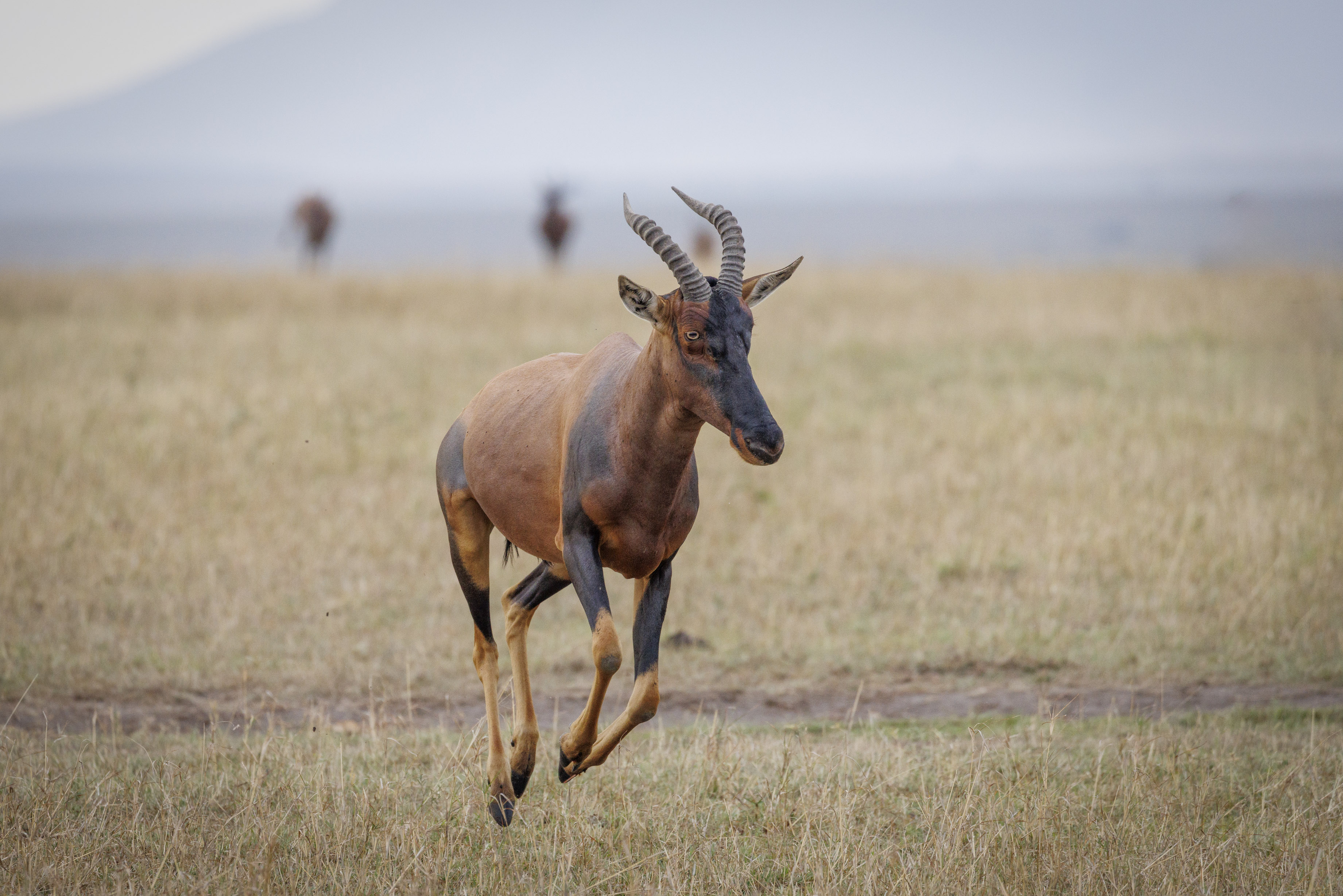 November 12, 2022-074255-4-Edit.jpg